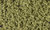 WOODLAND SCENICS FC134 - Fogliame sottobosco verde oliva Busta